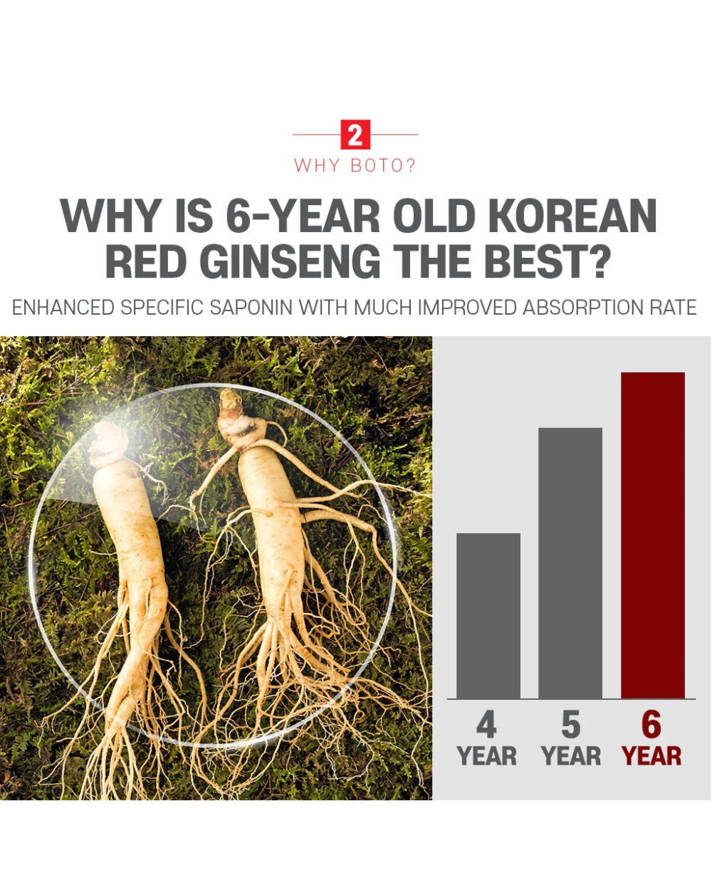 BOTO - Korean Red Ginseng Extract Pure Stick Gold