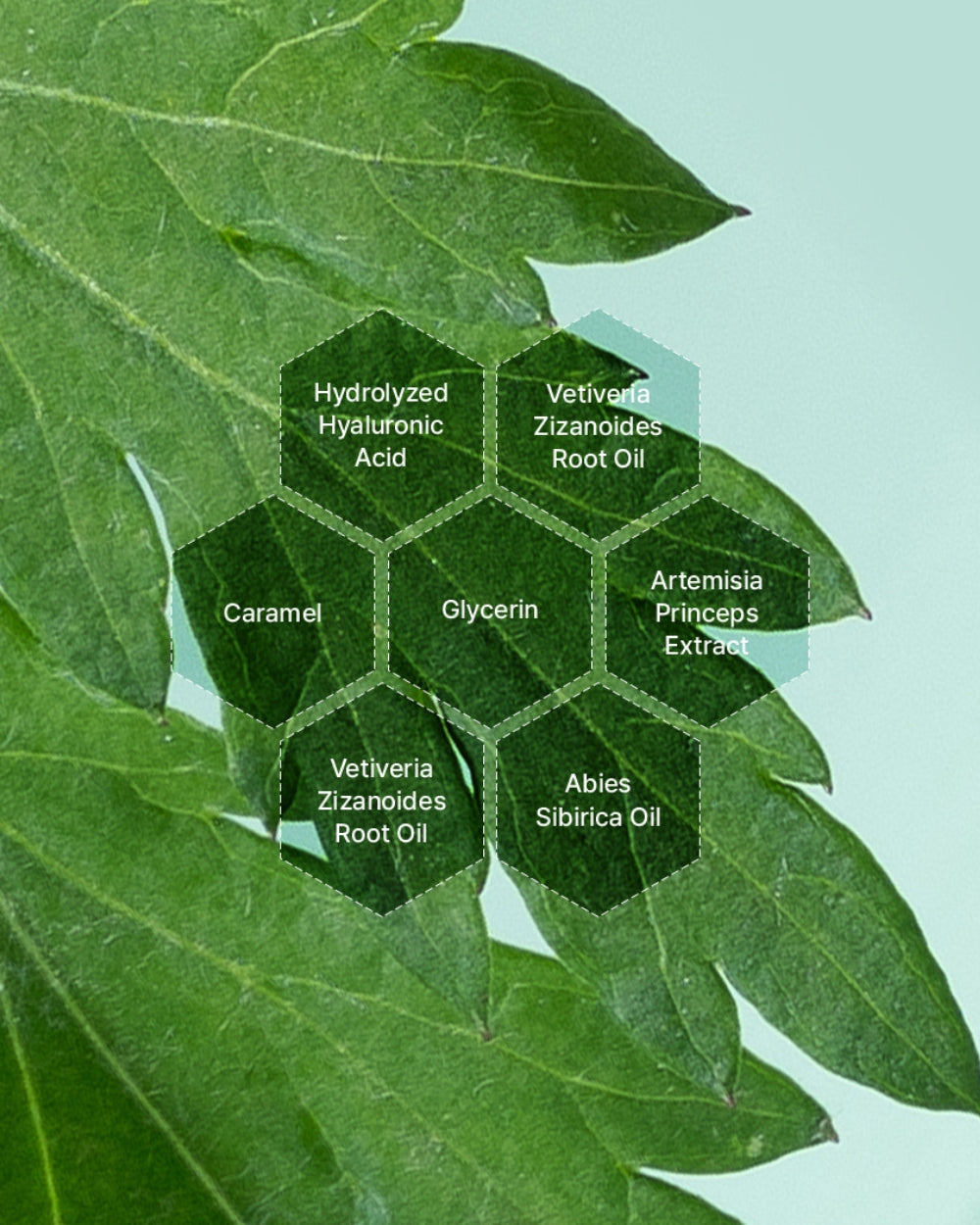 I'm From - Mugwort Sheet Mask