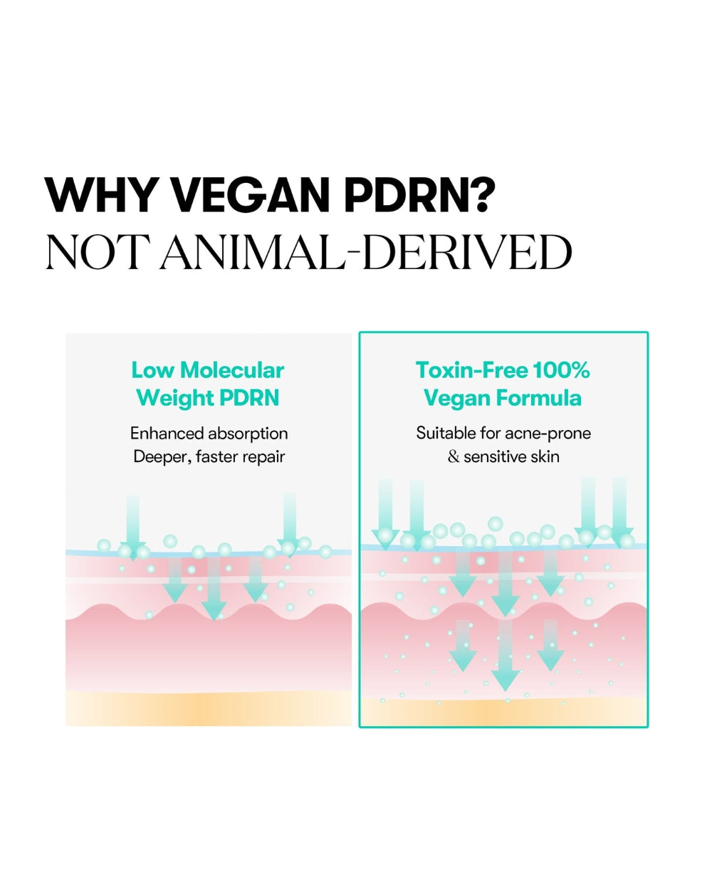 VT Cosmetics - PDRN Capsule Cream 100