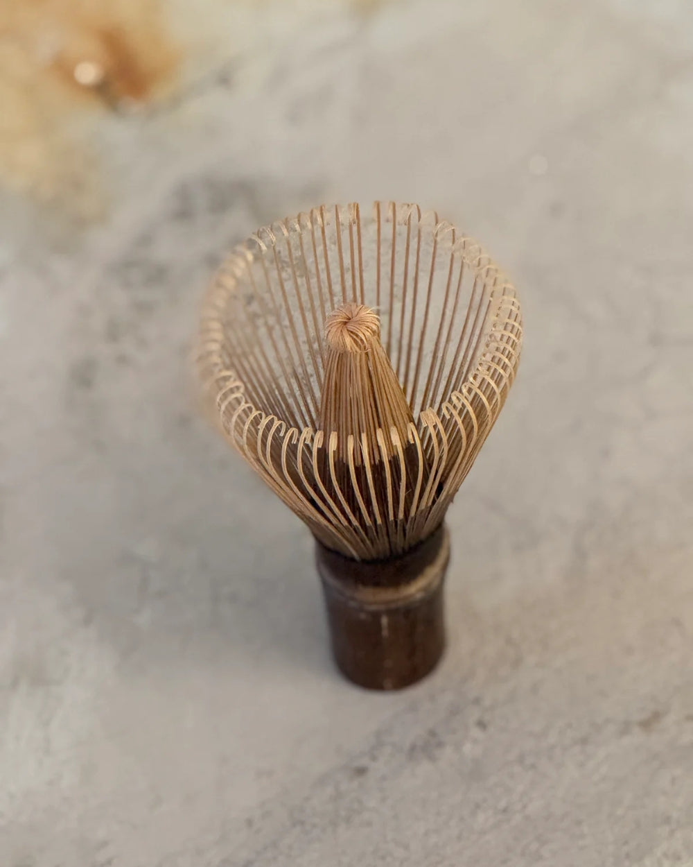 Chikusendō - Matcha Whisk (Chasen)