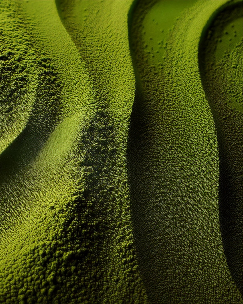 Kakegawa - Organic Ceremonial Matcha Tea