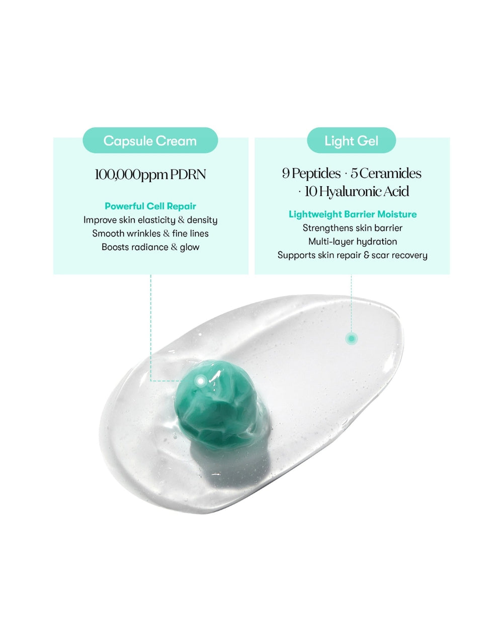 VT Cosmetics - PDRN Capsule Cream 100